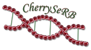 CherrySerb